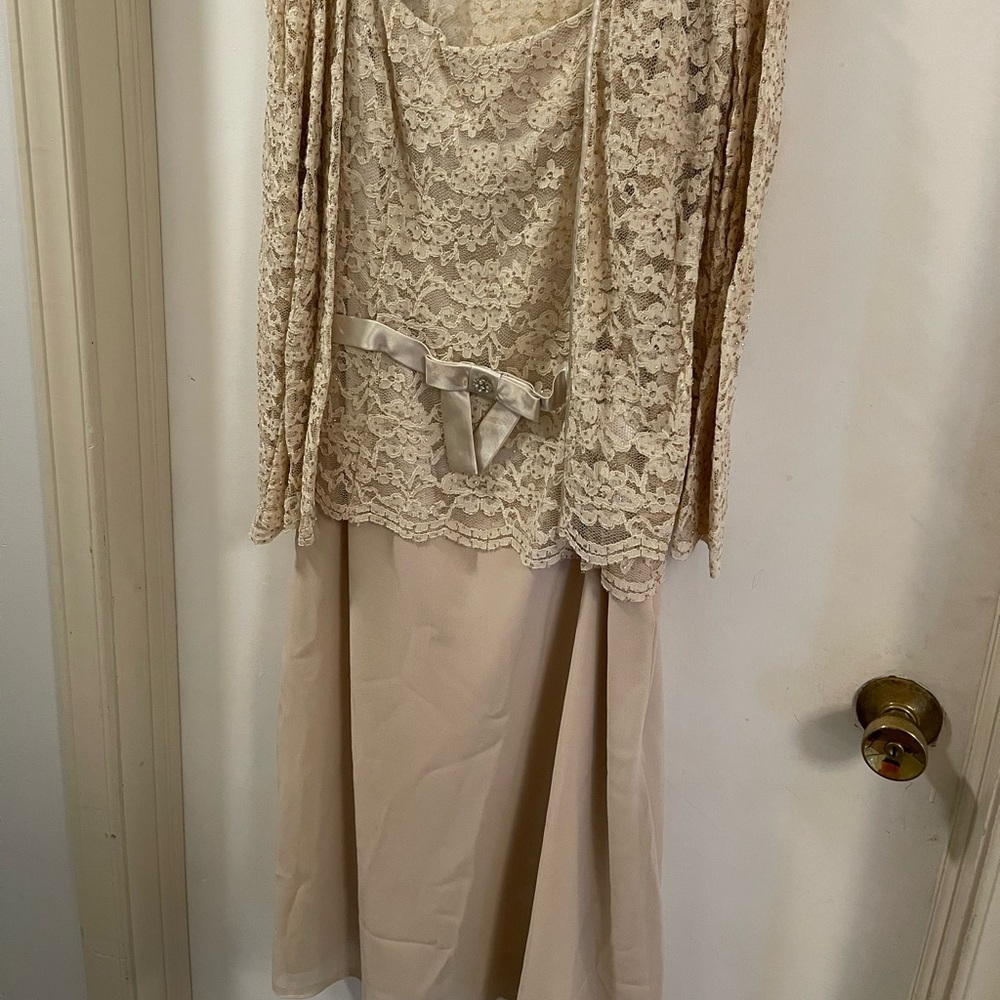 Sandra Darren Champaign Beige Lace dress with jacket